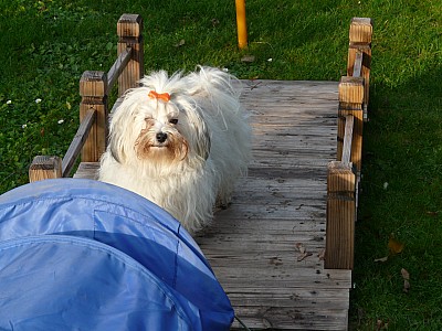 P1050745.jpg