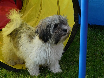 P1050751.jpg