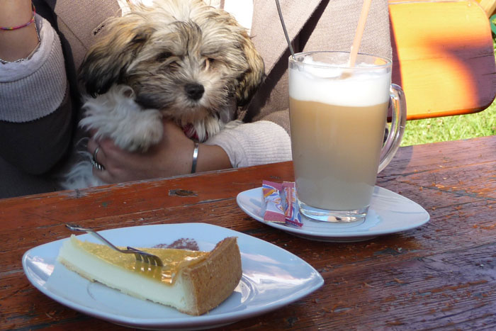 Kaffee und Kuchen