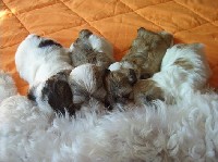 Babys