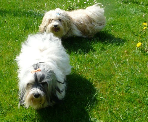 Yamila & Ponty