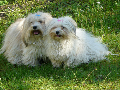 Ponty & Yolana