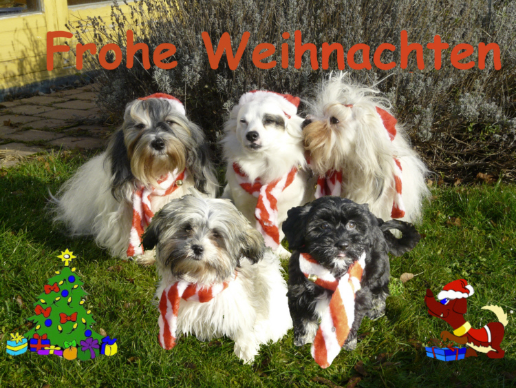 Weihnachten 2011
