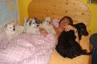 Alle im Bett