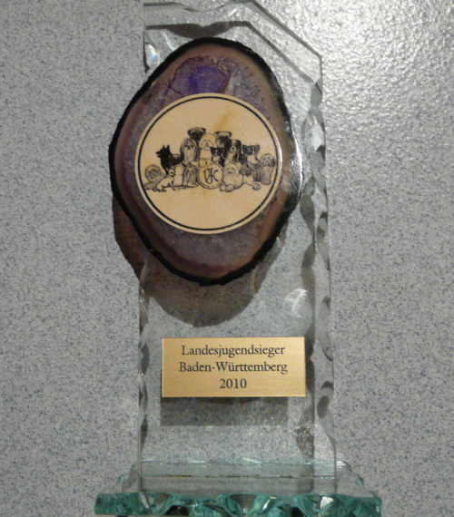 Pokal