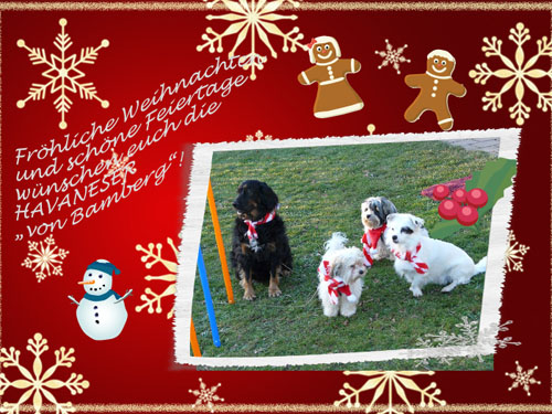 Weihnachten 2010