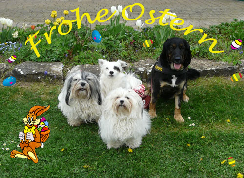 Ostern 2011
