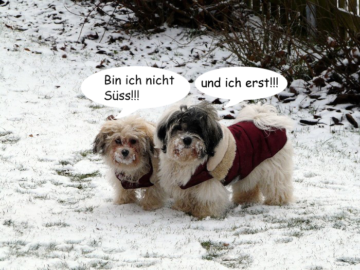Winter 2010